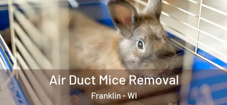  Air Duct Mice Removal Franklin - WI