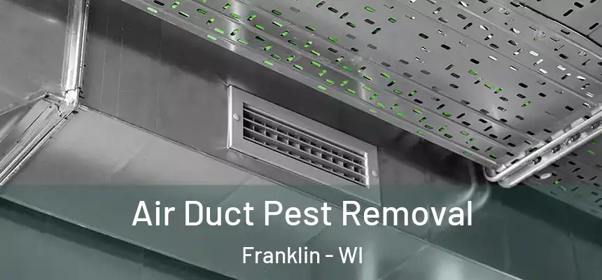 Air Duct Pest Removal Franklin - WI