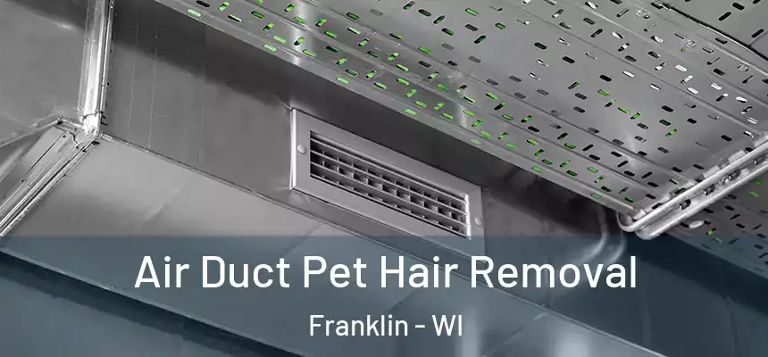 Air Duct Pet Hair Removal Franklin - WI