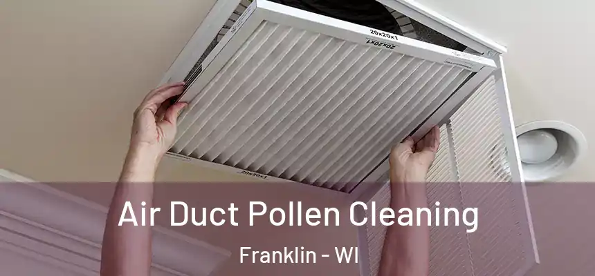 Air Duct Pollen Cleaning Franklin - WI