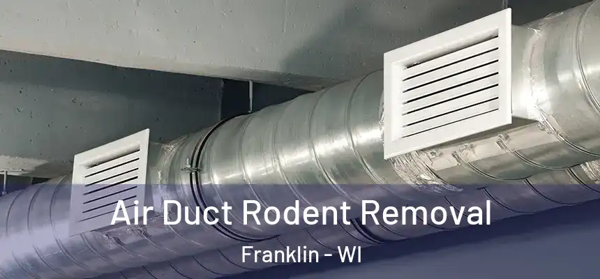 Air Duct Rodent Removal Franklin - WI