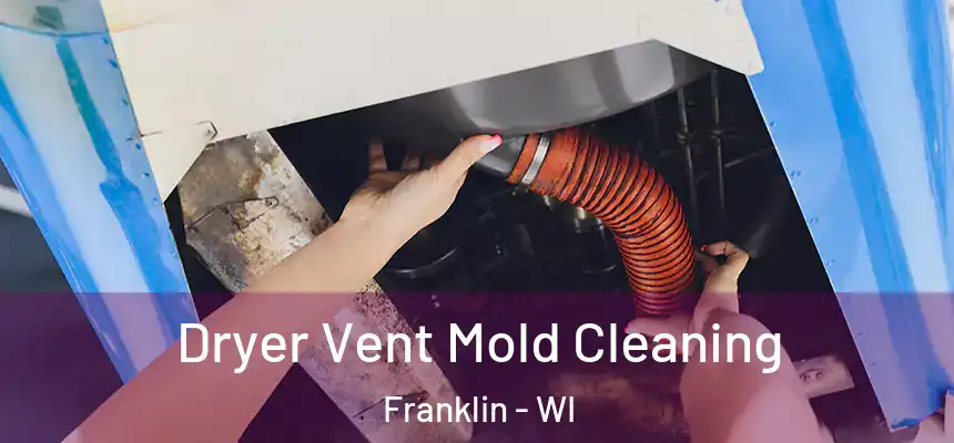 Dryer Vent Mold Cleaning Franklin - WI