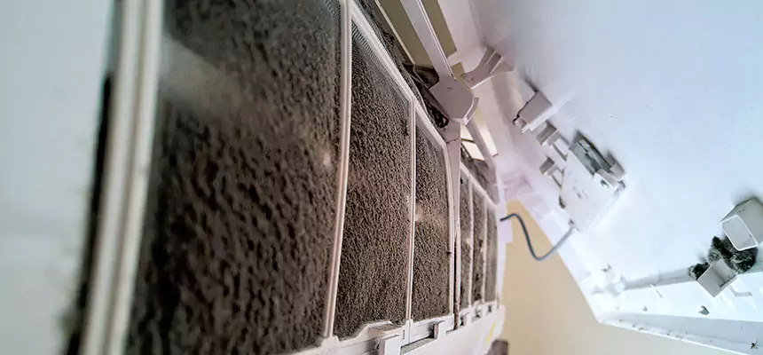 Preventive Air Duct Bacteria Removal in Franklin