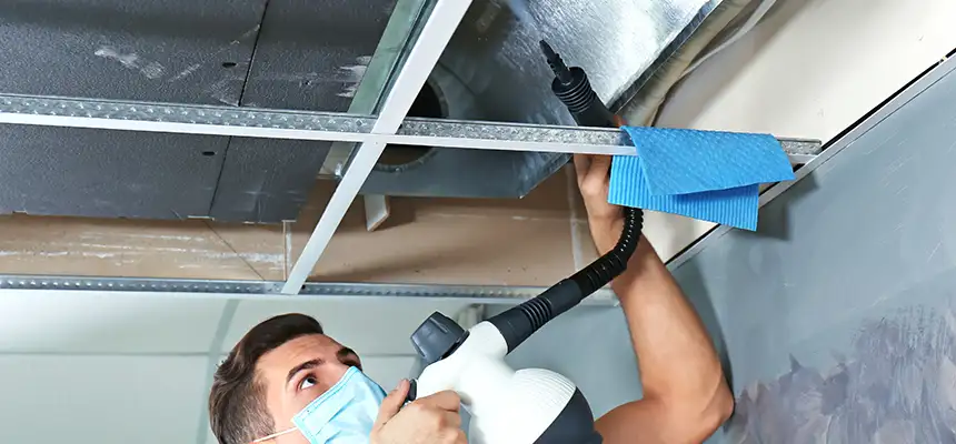 Our Air Duct Rodent Removal Services in Franklin, WI