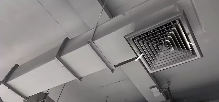 Our Pest Removal From Ducts Services in Franklin, WI