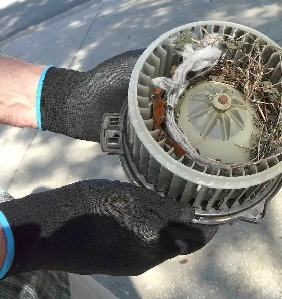 About Air Duct Mice Removal in Franklin, WI