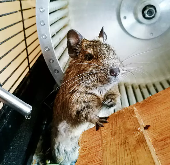 Why Homeowners & Businesses Trust Us Franklin, WI